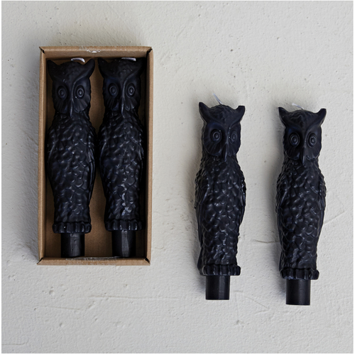  Creative Co-Op 6" Owl Taper Candles in Box Set of 2 