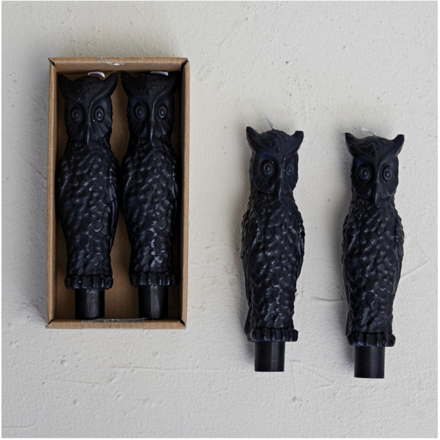 6" Owl Taper Candles in Box Set of 2