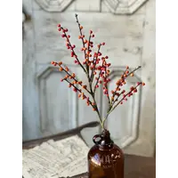 26" Clipper Berry Spray Orange