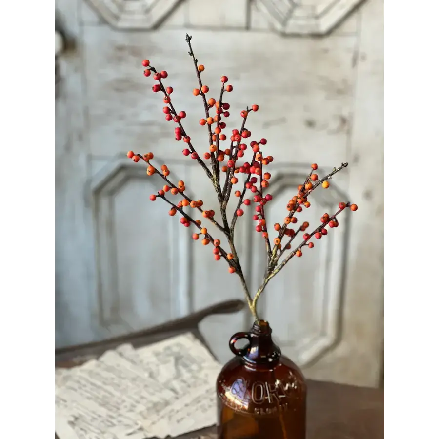 26" Clipper Berry Spray Orange