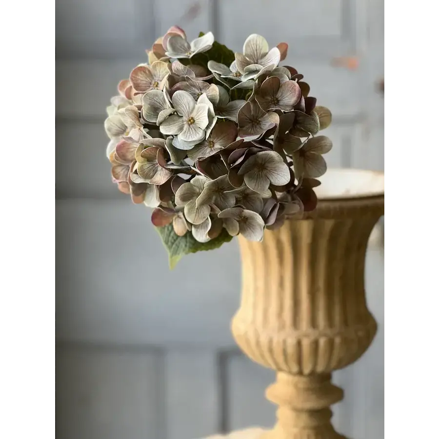18.5" Felicity Hydrangea