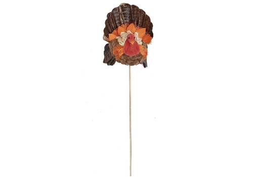  Worth Imports 4" Turkey wood pick 