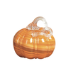 Glass Autumn Pumpkin