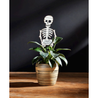 Halloween Plant Stake