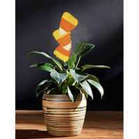 Halloween Plant Stake