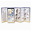 Earth sky water Birds of the New England Coast Folding Guide