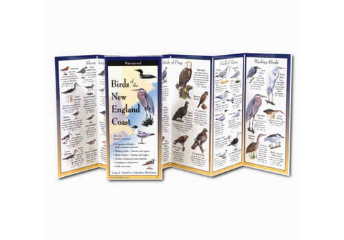 Earth sky water Birds of the New England Coast Folding Guide   Earth sky water Birds of the New England Coast Folding Guide