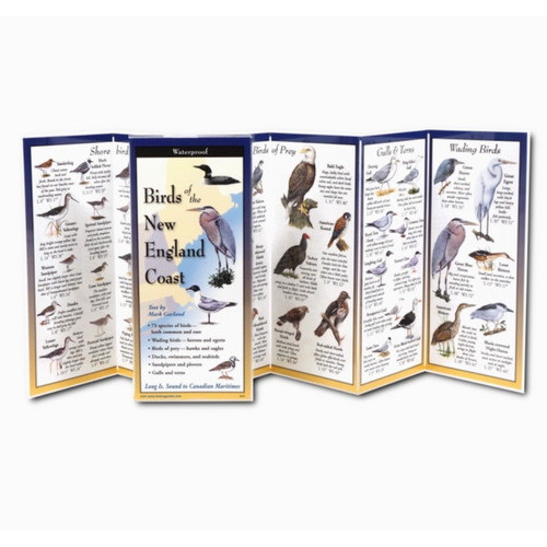  Earth sky water Birds of the New England Coast Folding Guide 