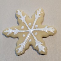 Fake Christmas Cookie