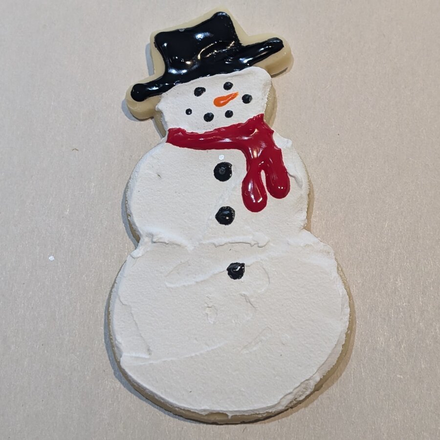 Fake Christmas Cookie
