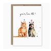 Biely & Shoaf Cats You're How Old? Birthday Card