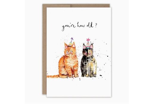  Biely & Shoaf Cats You're How Old? Birthday Card 