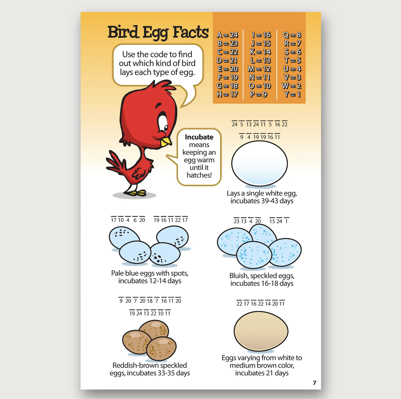 Awesome Bird Puzzles For Kids Bell Farm Shops