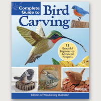 Complete Guide To Bird Carving