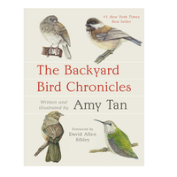 The Backyard Bird Chronicles