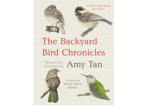  The Backyard Bird Chronicles 
