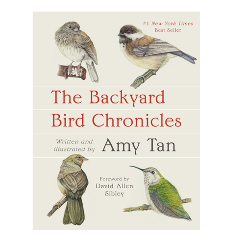  The Backyard Bird Chronicles 