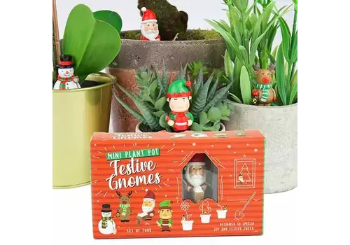  Gift Republic Festive Plant Markers 