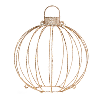 Lighted Ornament