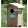 Screech Owl House