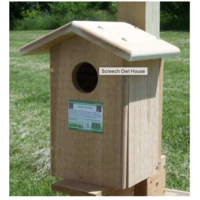 Screech Owl House