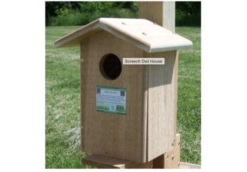  Screech Owl House 