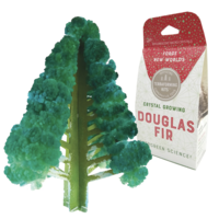 Crystal Growing Douglas Fir