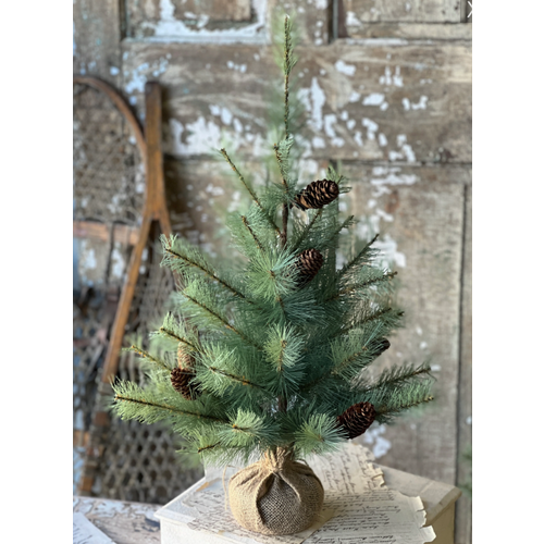 Whitley Pine Tree 2' 