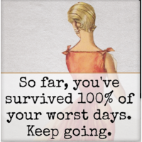 You've Survived Magnet