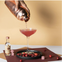 Mixology Cube Mini Cosmo