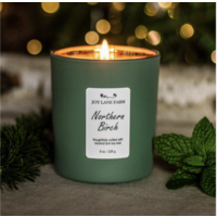 Northern Birch Holiday Candle