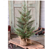 Dashing Cedar & Berry Tree  24"