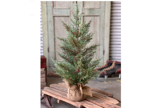  Dashing Cedar & Berry Tree  24" 