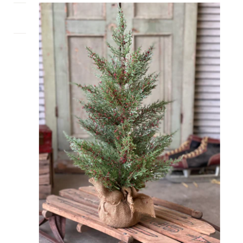  Dashing Cedar & Berry Tree  24" 