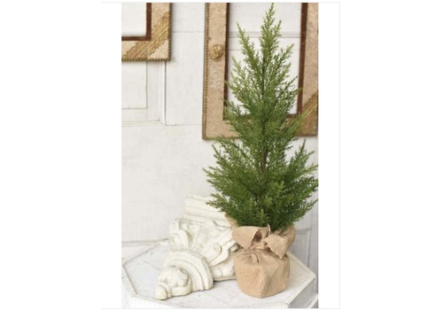  Fine Cedar Tree 24" 
