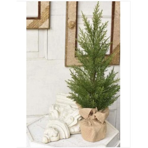  Fine Cedar Tree 24" 