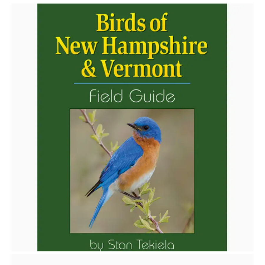 Birds of NH & Vermont Field Guide