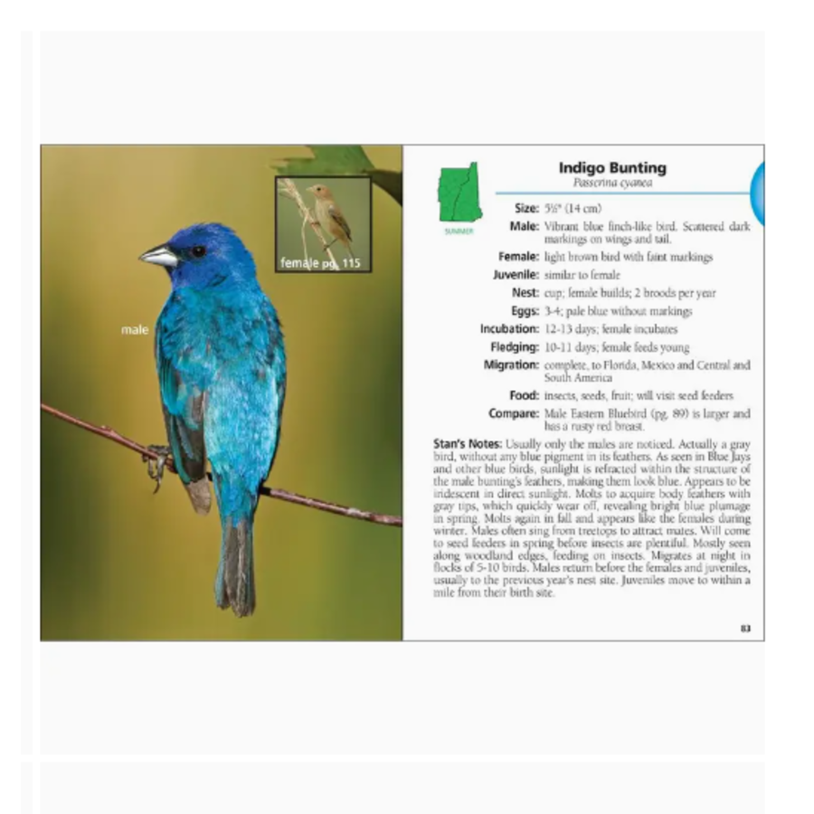 Birds of NH & Vermont Field Guide