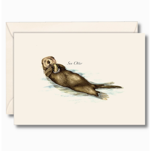  Earth sky water Sea Otter Boxed Note Cards 