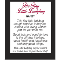 Tiny Little Ladybug Charm
