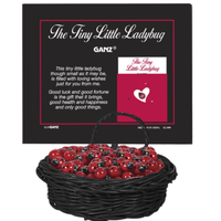 Tiny Little Ladybug Charm