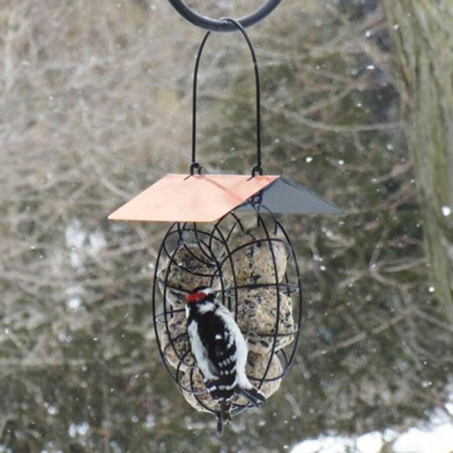 Suet & Seed Ball Feeder w/ Copper Roof