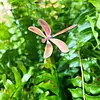 Clever Goods Small Copper DFly on Stake