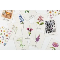 Pick a Flower: A Memory Game
