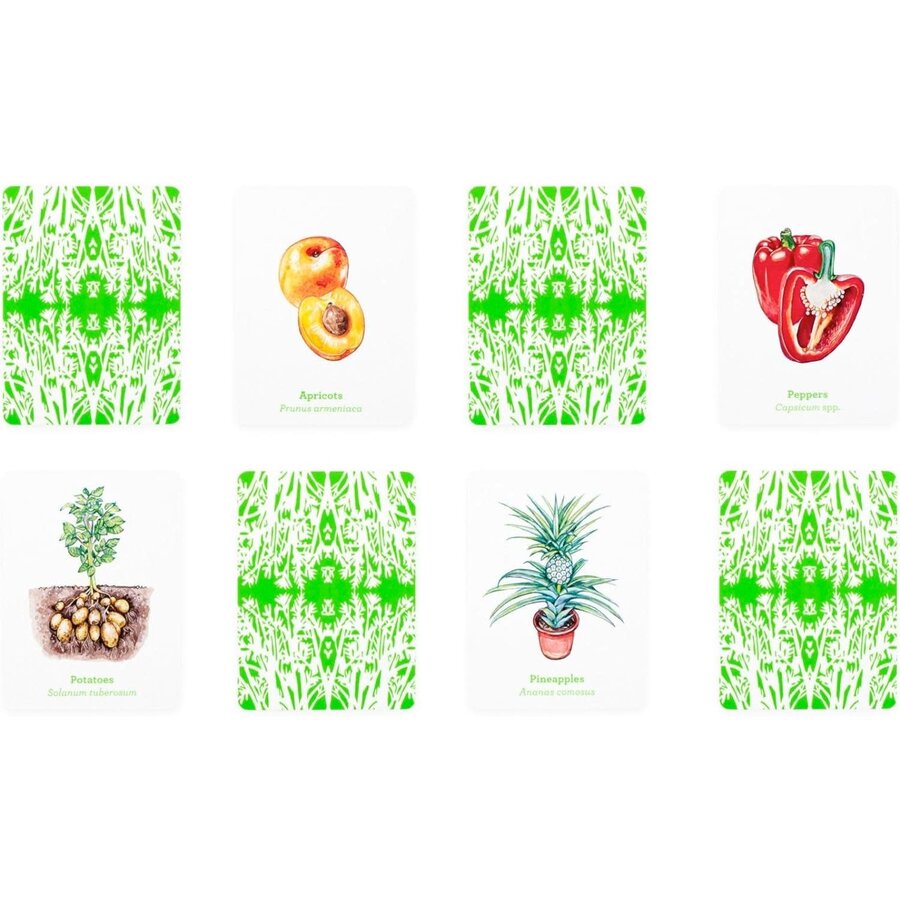 Gardener's Match: A Fruit & Vegetable Memory Game