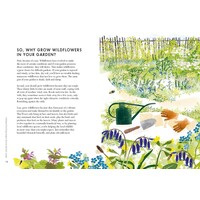 Planting Wildflowers: A Grower's Guide