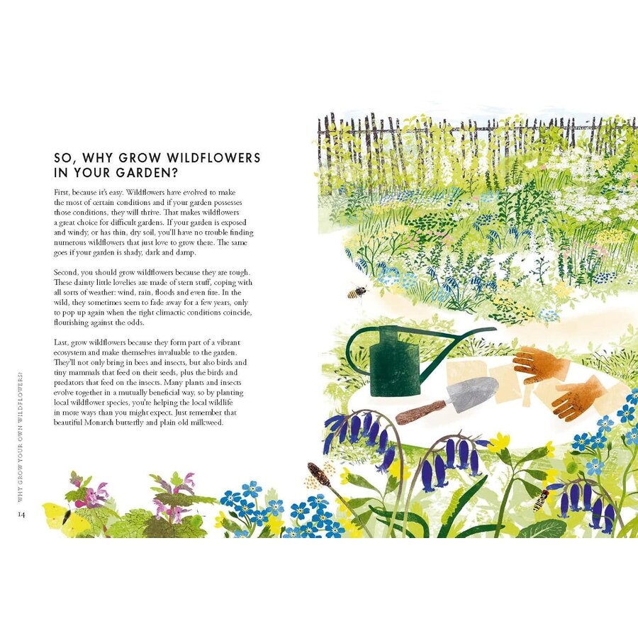 Planting Wildflowers: A Grower's Guide