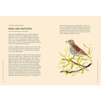 Planting Wildflowers: A Grower's Guide