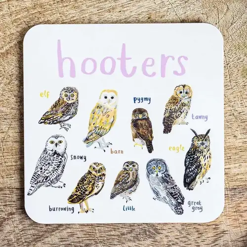  Sarah Edmonds Illustration Hooters Bird Coaster 