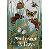 An Insect a Day